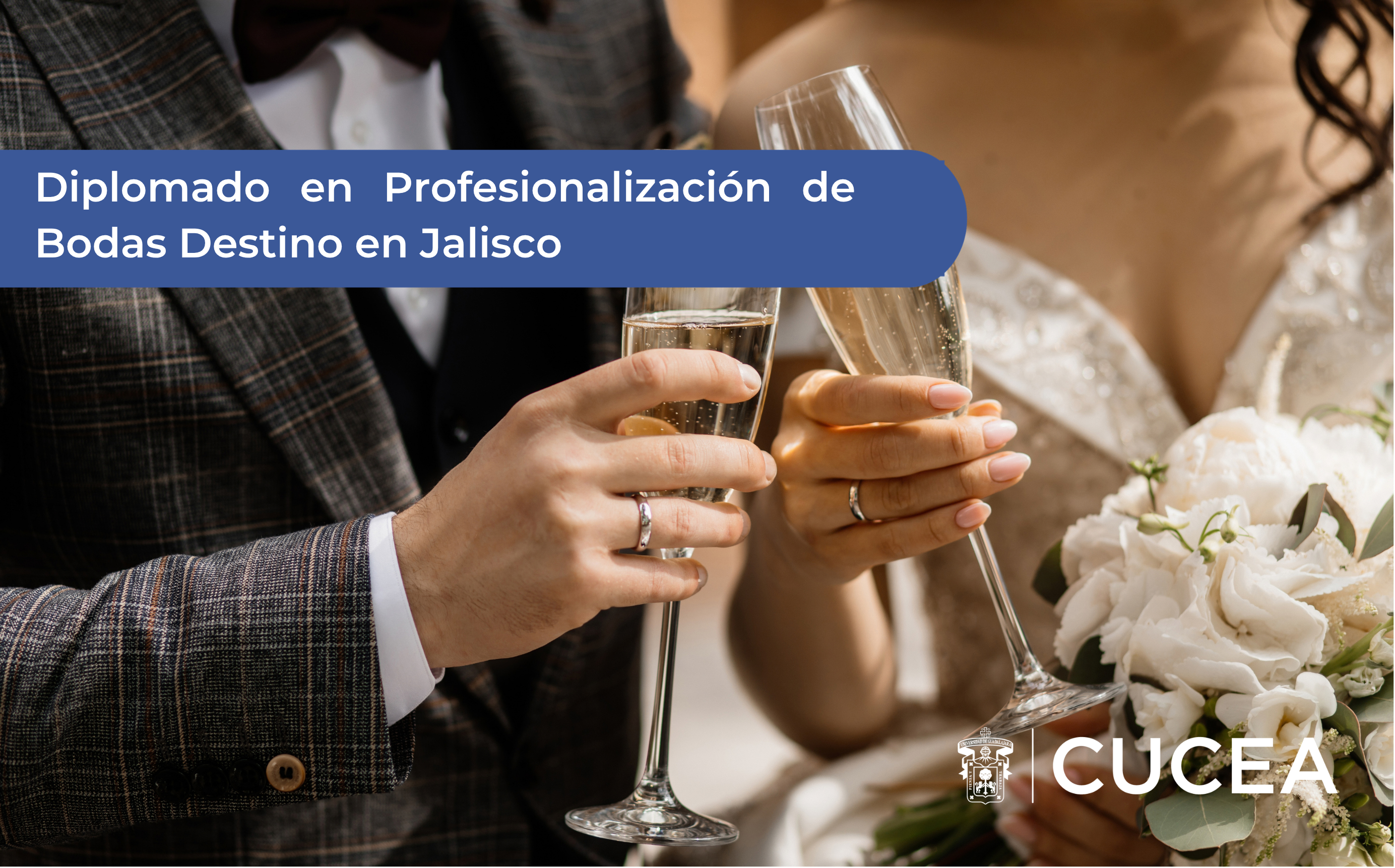 Diplomado en Profesionalización de Bodas Destino en Jalisco